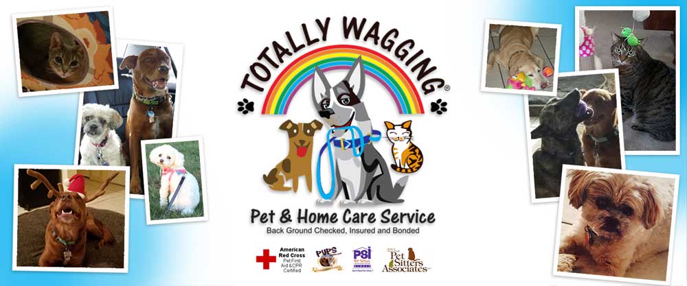 Totally Wagging Pet and
        Home Care Services (561)213-0922 / visit www.totallywagging.com / Dog Walking, Pet Sitting, Pet Care, Dog Training, Home Care, Senior Services, Food/Grocery Delivery
