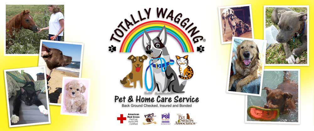 Totally Wagging Pet and
        Home Care Services (561)213-0922  / visit www.totallywagging.com / Dog Walking, Pet Sitting, Pet Care, Dog Training, Home Care, Senior Services, Food/Grocery Delivery