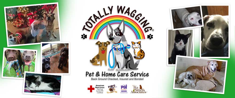Totally Wagging Pet and
        Home Care Services (561)213-0922 / visit www.totallywagging.com / Dog Walking, Pet Sitting, Pet Care, Dog Training, Home Care, Senior Services, Food/Grocery Delivery